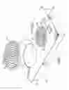 Fig. 02 - Induction cook-top apparatus