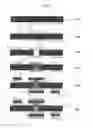Fig. 07 - DOUBLE-SIDED FLEXIBLE PRINTED CIRCUIT BOARD INCLUDING PLATING LAYER AND METHOD OF MANUFACTURING THE SAME