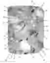 Fig. 01 - Extruded granular absorbent