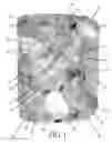 Fig. 02 - Extruded granular absorbent