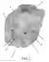 Fig. 03 - Extruded granular absorbent