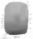 Fig. 05 - Extruded granular absorbent