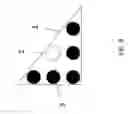 Fig. 09 - Hybrid LED lighting method and system for chicken coops