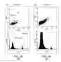 Fig. 34 - Platelet Storage and Reduced Bacterial Proliferation in Platelet Products Using a Sialidase Inhibitor