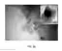 Fig. 06 - PHOTODEGRADABLE, BIOCOMPATIBLE AND EFFICIENT NANO-ENCAPSULATED FORMULATION