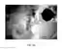Fig. 07 - PHOTODEGRADABLE, BIOCOMPATIBLE AND EFFICIENT NANO-ENCAPSULATED FORMULATION