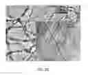Fig. 10 - PHOTODEGRADABLE, BIOCOMPATIBLE AND EFFICIENT NANO-ENCAPSULATED FORMULATION