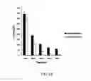 Fig. 12 - PHOTODEGRADABLE, BIOCOMPATIBLE AND EFFICIENT NANO-ENCAPSULATED FORMULATION