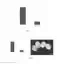 Fig. 03 - Method and compositions for the genetic control of insect pests in cotton plants by chitin synthase gene silencing