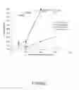 Fig. 02 - Composition of entomopathogenic fungus and method of production and application for insect control