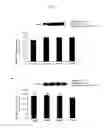 Fig. 07 - Method for increasing performance of offspring
