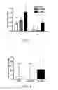 Fig. 02 - FOOD COMPOSITION AND ITS USE