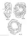 Fig. 03 - MODULAR ACCESSORY APPARATUS