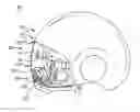 Fig. 01 - HELMET WITH RETRACTABLE VISOR AND BRIDGE
