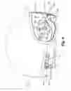 Fig. 06 - HELMET WITH RETRACTABLE VISOR AND BRIDGE