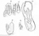 Fig. 01 - Athletic shoe with energy return system