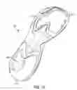 Fig. 07 - Athletic shoe with energy return system