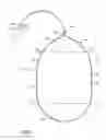 Fig. 02 - PERSONAL POSTURE CORRECTION APPARATUS