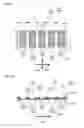 Fig. 50 - Production method and production apparatus for cleaning implement