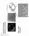 Fig. 07 - WIDE FIELD RAMAN IMAGING APPARATUS AND ASSOCIATED METHODS