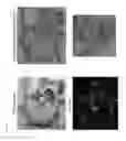 Fig. 09 - WIDE FIELD RAMAN IMAGING APPARATUS AND ASSOCIATED METHODS