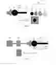 Fig. 09 - Systems and methods for detecting intracranial pressure and volume
