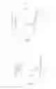 Fig. 06 - Hemostatic clip with needle passer