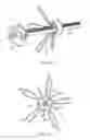 Fig. 10 - SYSTEM AND METHOD FOR TRANSAPICAL ACCESS AND CLOSURE