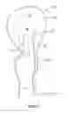 Fig. 06 - MEDICAL DEVICE FOR REDUCING BLEEDING