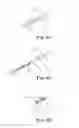 Fig. 06 - Sacroiliac joint fusion screw and method