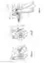 Fig. 06 - Valve control mechanism and method
