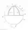 Fig. 01 - Orthotopic artificial bladder endoprosthesis