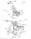 Fig. 33 - Ethnic-specific orthopaedic implants and custom cutting jigs