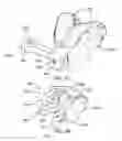 Fig. 40 - Ethnic-specific orthopaedic implants and custom cutting jigs