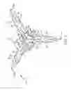 Fig. 06 - SELF-EXPANDING BIFURCATED STENT