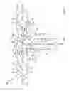 Fig. 07 - SELF-EXPANDING BIFURCATED STENT