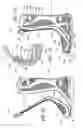Fig. 10 - Circumferential walker