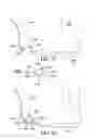 Fig. 25 - Circumferential walker