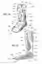 Fig. 27 - Circumferential walker