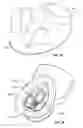 Fig. 04 - DEVICES AND METHODS FOR PROMOTING FEMALE SEXUAL WELLNESS