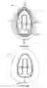 Fig. 42 - DEVICES AND METHODS FOR PROMOTING FEMALE SEXUAL WELLNESS