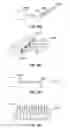 Fig. 50 - DEVICES AND METHODS FOR PROMOTING FEMALE SEXUAL WELLNESS
