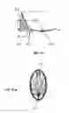 Fig. 40 - Shock wave applicator with movable electrode