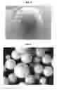 Fig. 03 - CURCUMIN SOLID LIPID PARTICLES AND METHODS FOR THEIR PREPARATION AND USE