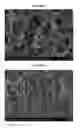 Fig. 02 - Purified therapeutic nanoparticles and preparation methods thereof