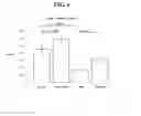 Fig. 07 - Managing osteoporosis with HMW PEG