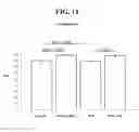 Fig. 12 - Managing osteoporosis with HMW PEG