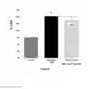 Fig. 07 - Baclofen and acamprosate based therapy of neurological disorders
