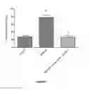 Fig. 09 - Baclofen and acamprosate based therapy of neurological disorders