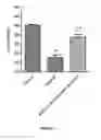 Fig. 11 - Baclofen and acamprosate based therapy of neurological disorders